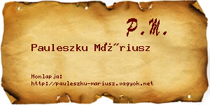Pauleszku Máriusz névjegykártya